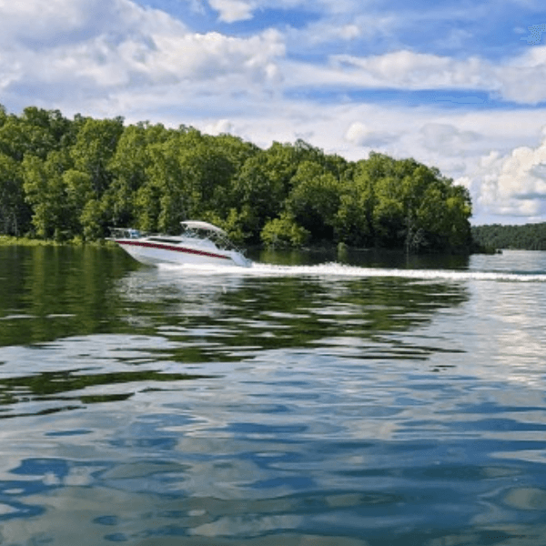 A speedboat glides across tranquil waters with lush greenery in the background.