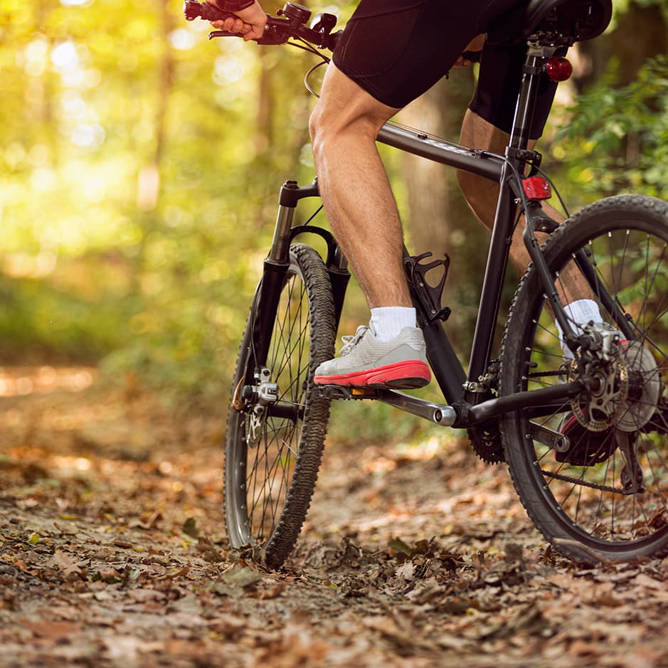 A cyclist rides on a dirt trail surrounded by trees.