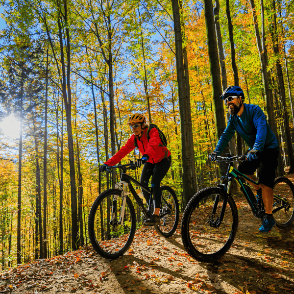 Two mountain bikers ride through a colorful forest during autumn.