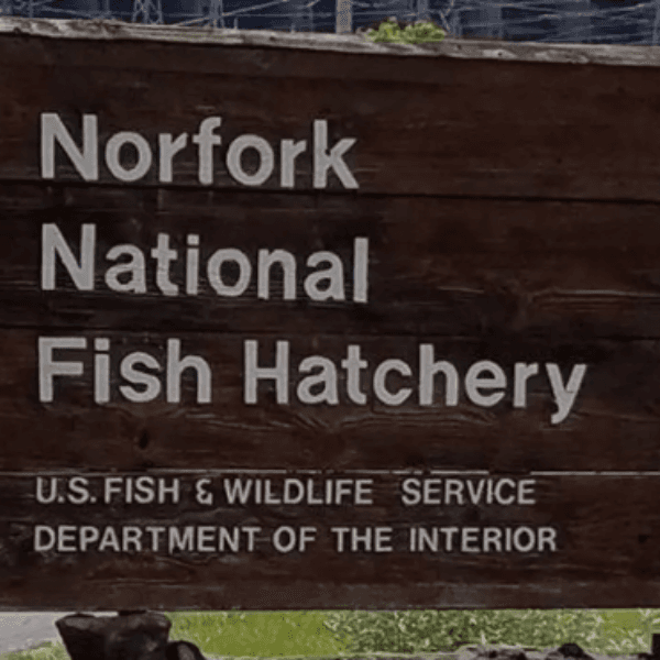 Sign for Norfork National Fish Hatchery, U.S. Fish & Wildlife Service.